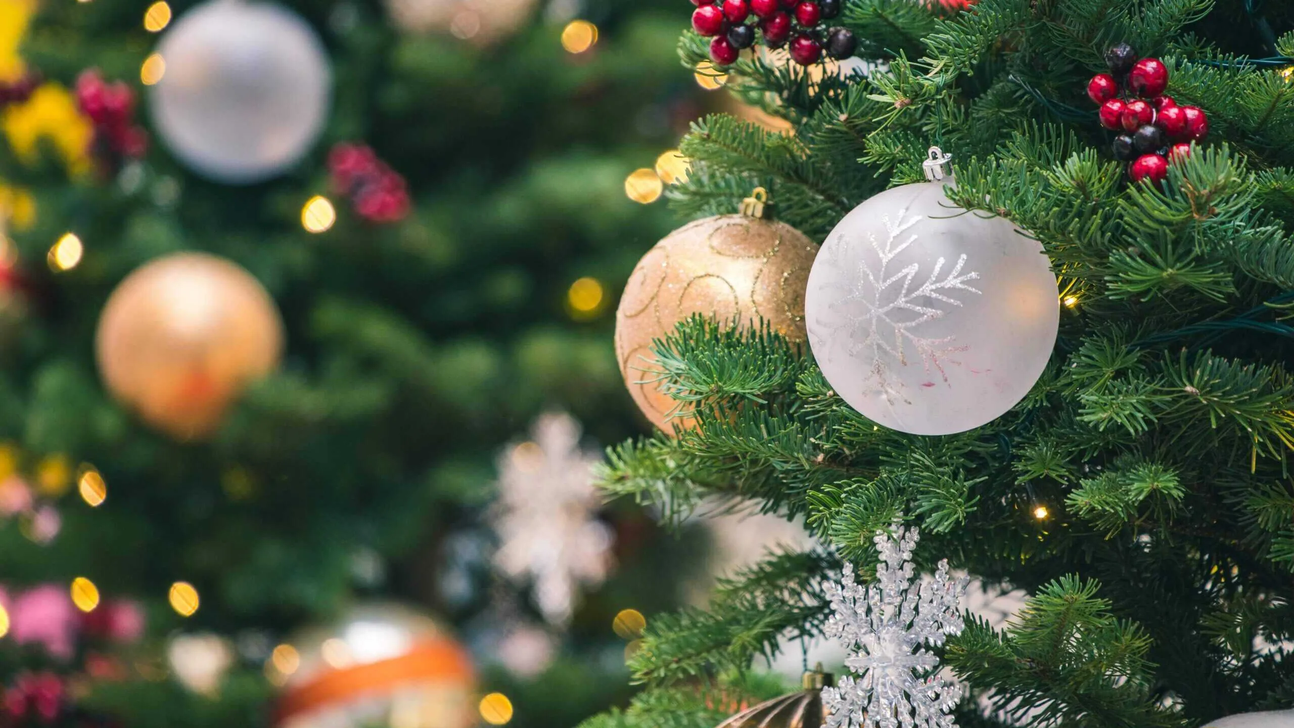 Christmas Tree scaled