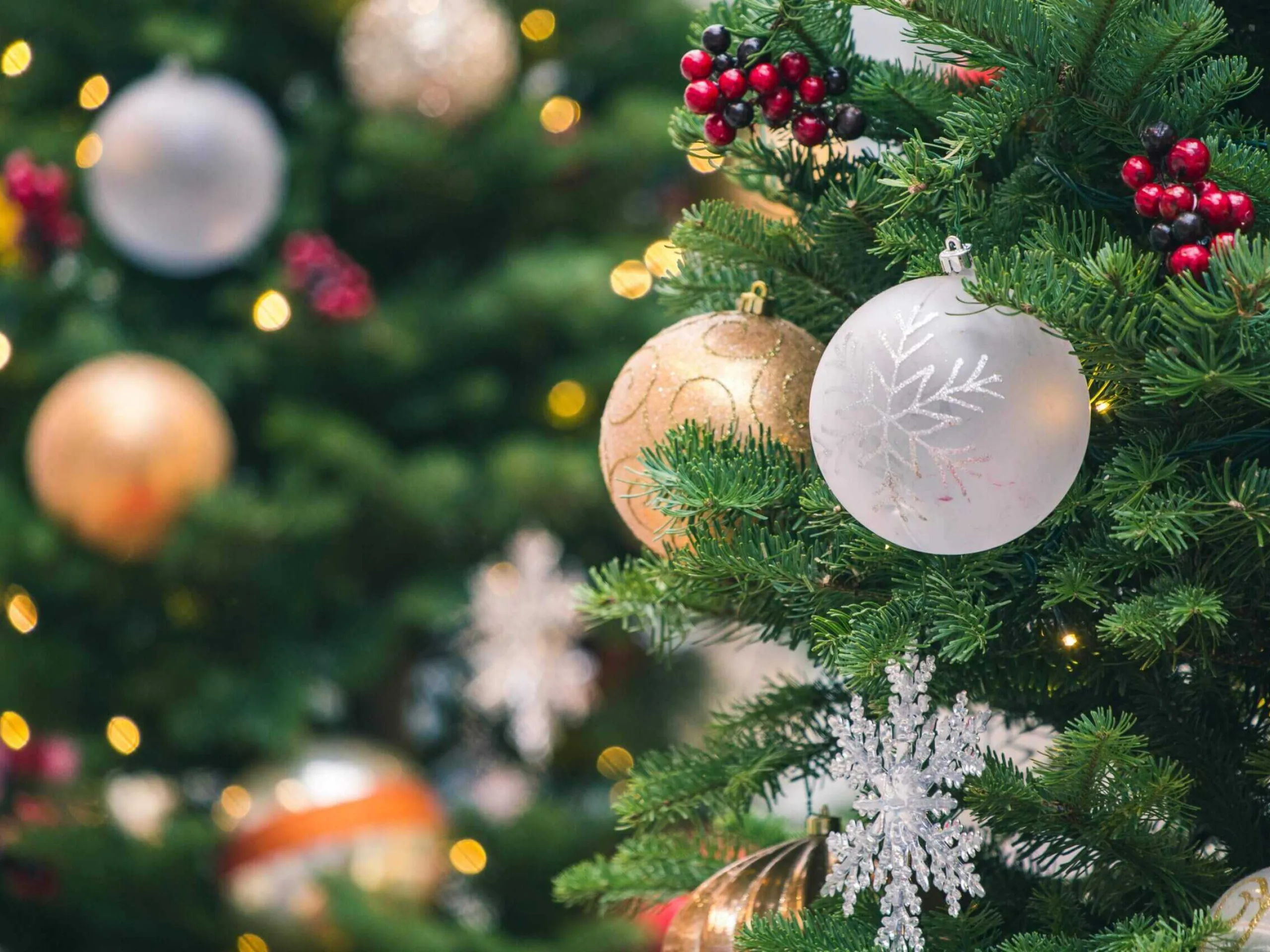 Christmas Tree scaled